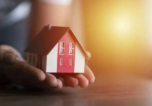 1669794863942053.jpg 1669794849267.jpg