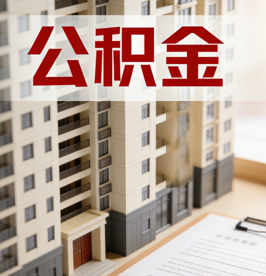 沈阳公积金代办行业新生态：从“跑腿中介”到“生活管家”的进化之路